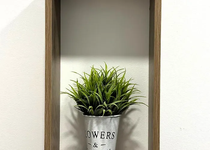 Ds Venerable Apartamento *